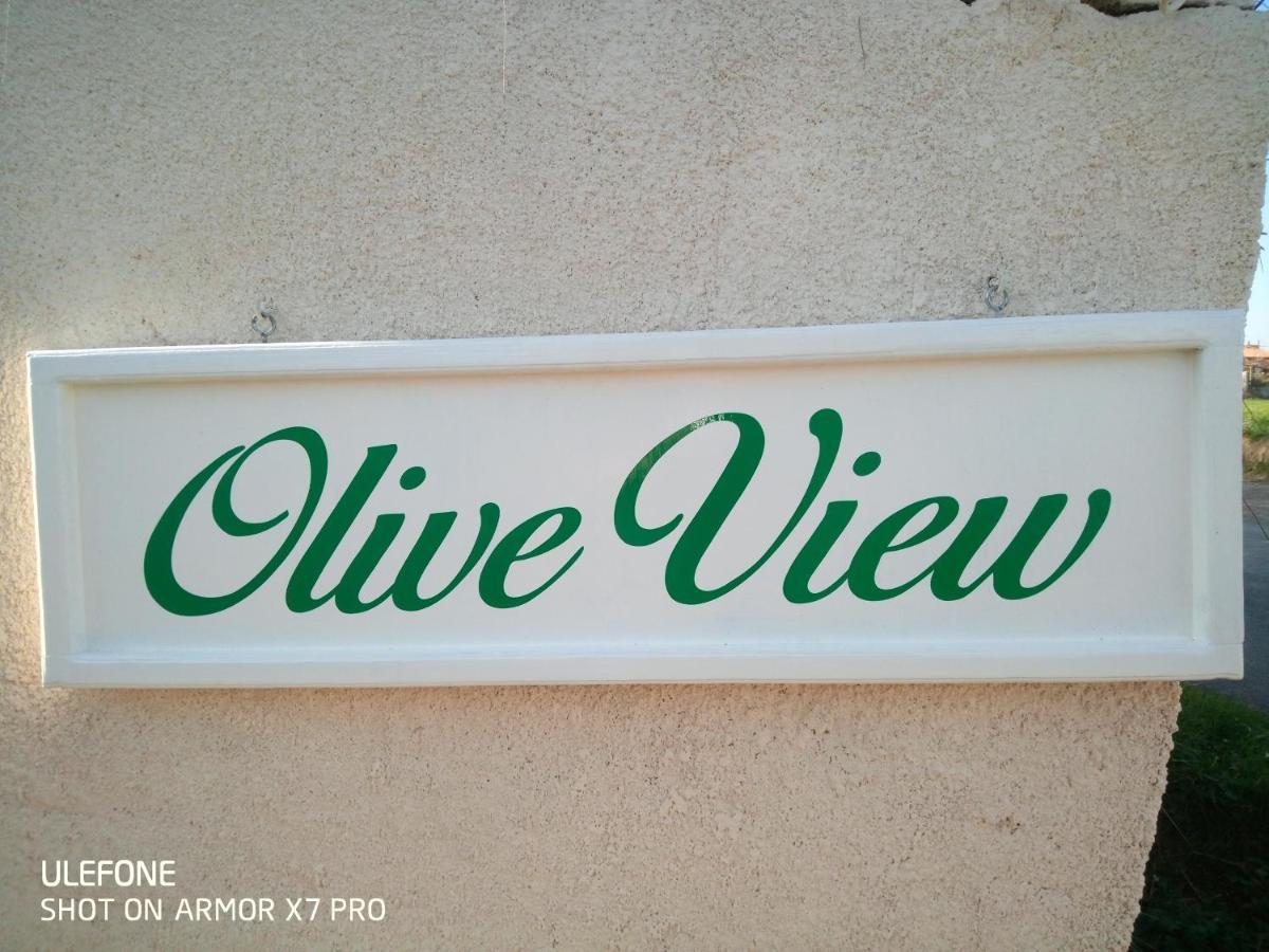 Olive View Villa Puissalicon ภายนอก รูปภาพ